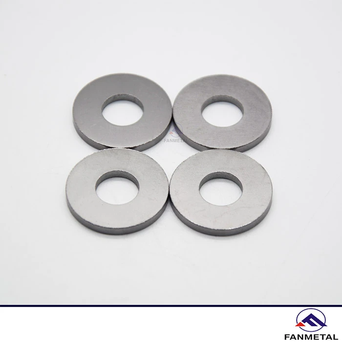 Pure Tantalum Plain Washers