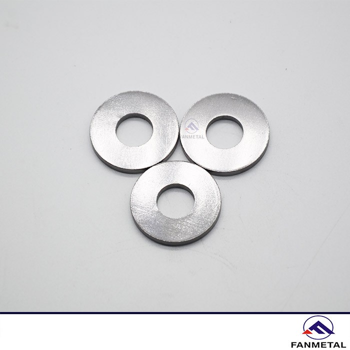 Tantalum Plain Washer Tantalum Plain Washer