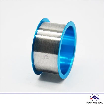 Électrode en fil de platine